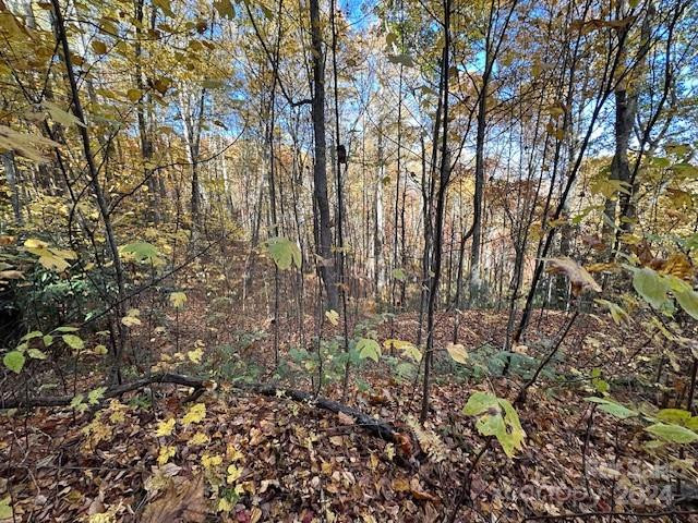 124 & 125 Large Poplar Trail - Photo 8