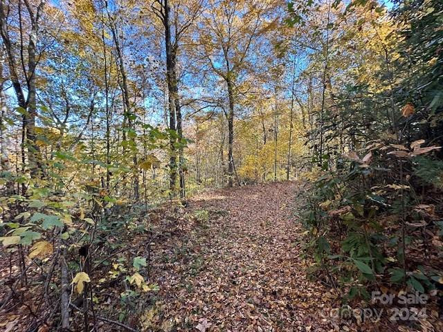 124 & 125 Large Poplar Trail - Photo 9