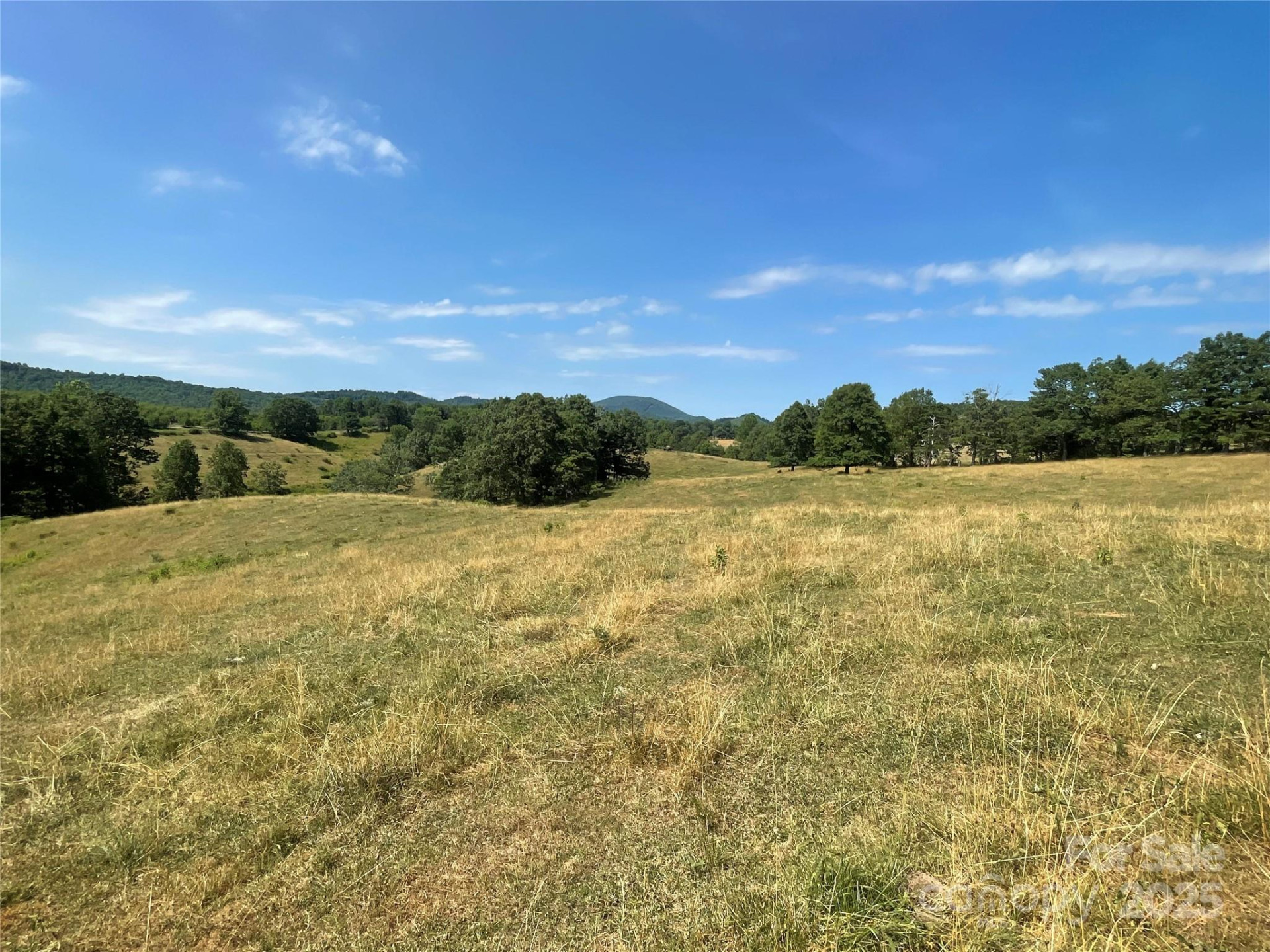 TBD Summer Road - Photo 2