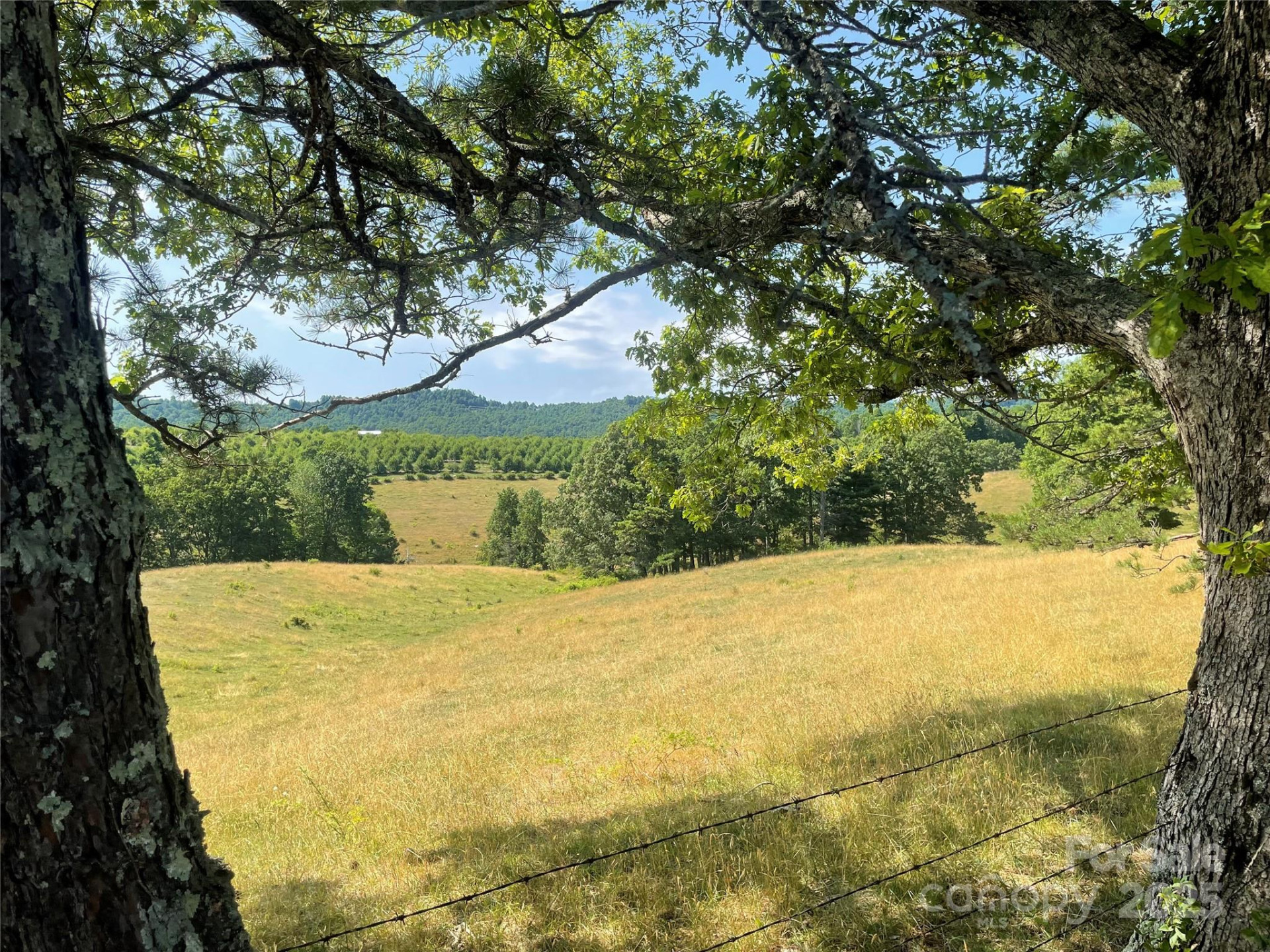 TBD Summer Road - Photo 11