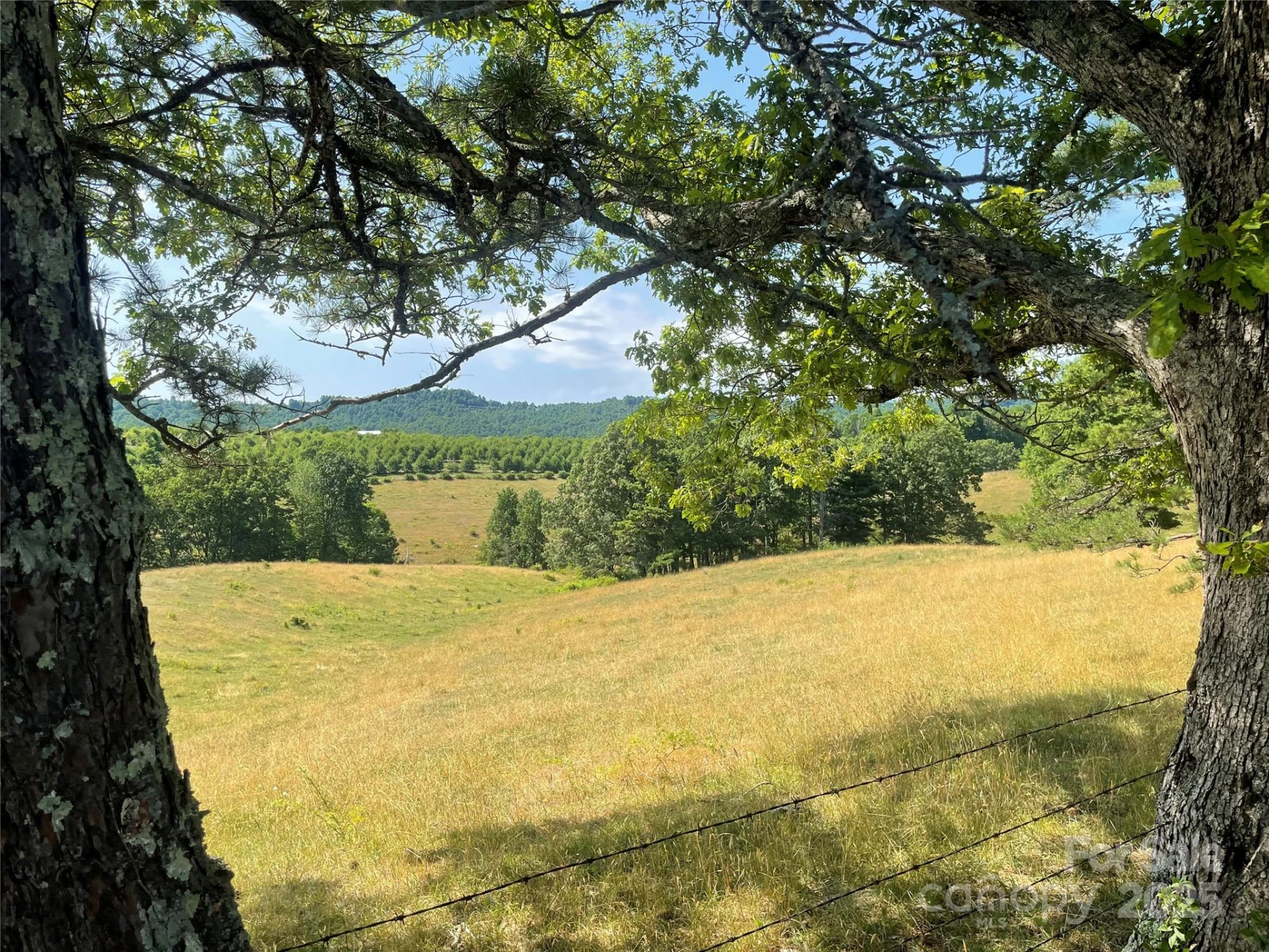 TBD Summer Road - Photo 11