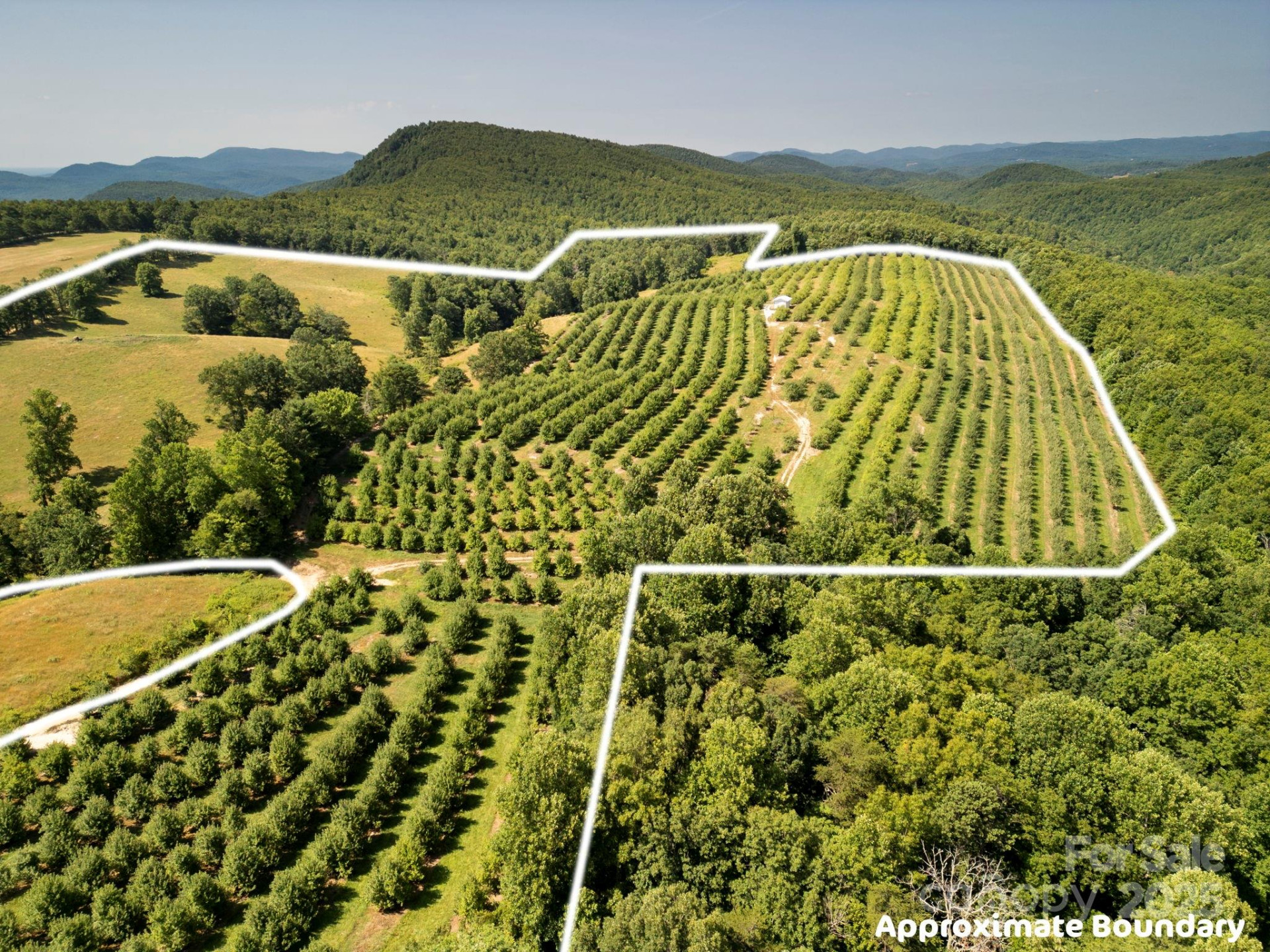 TBD Summer Road - Photo 12