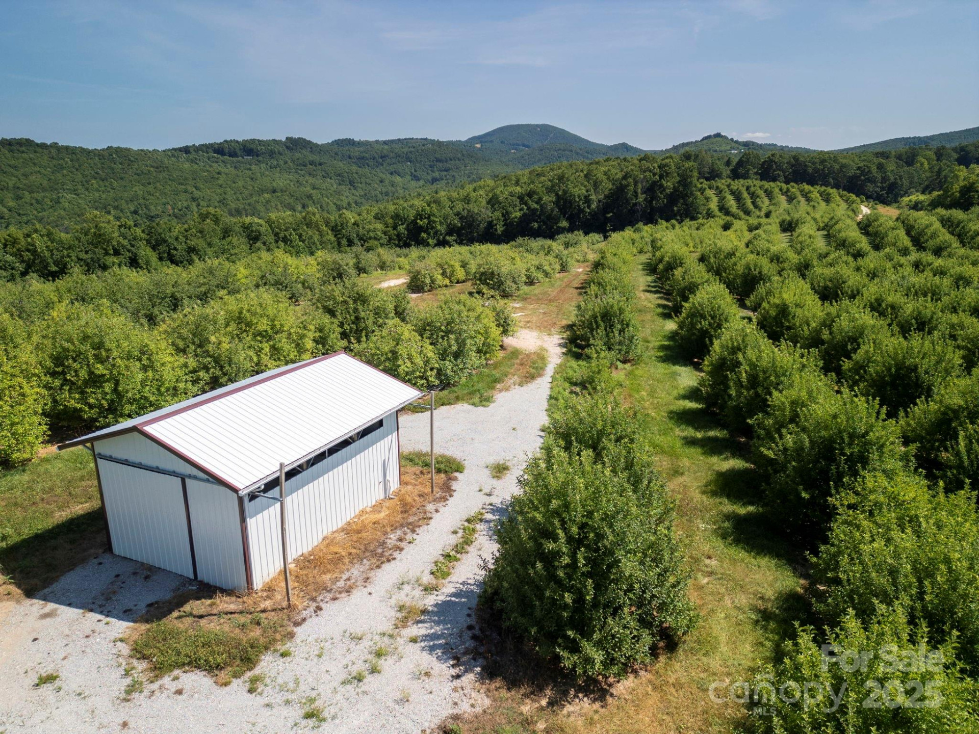 TBD Summer Road - Photo 14