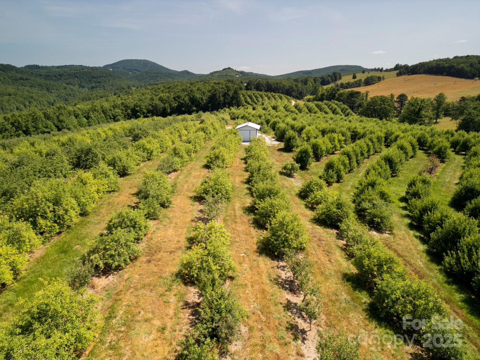 TBD Summer Road - Photo 16