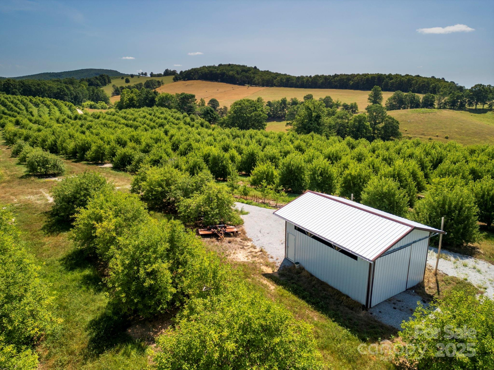 TBD Summer Road - Photo 17