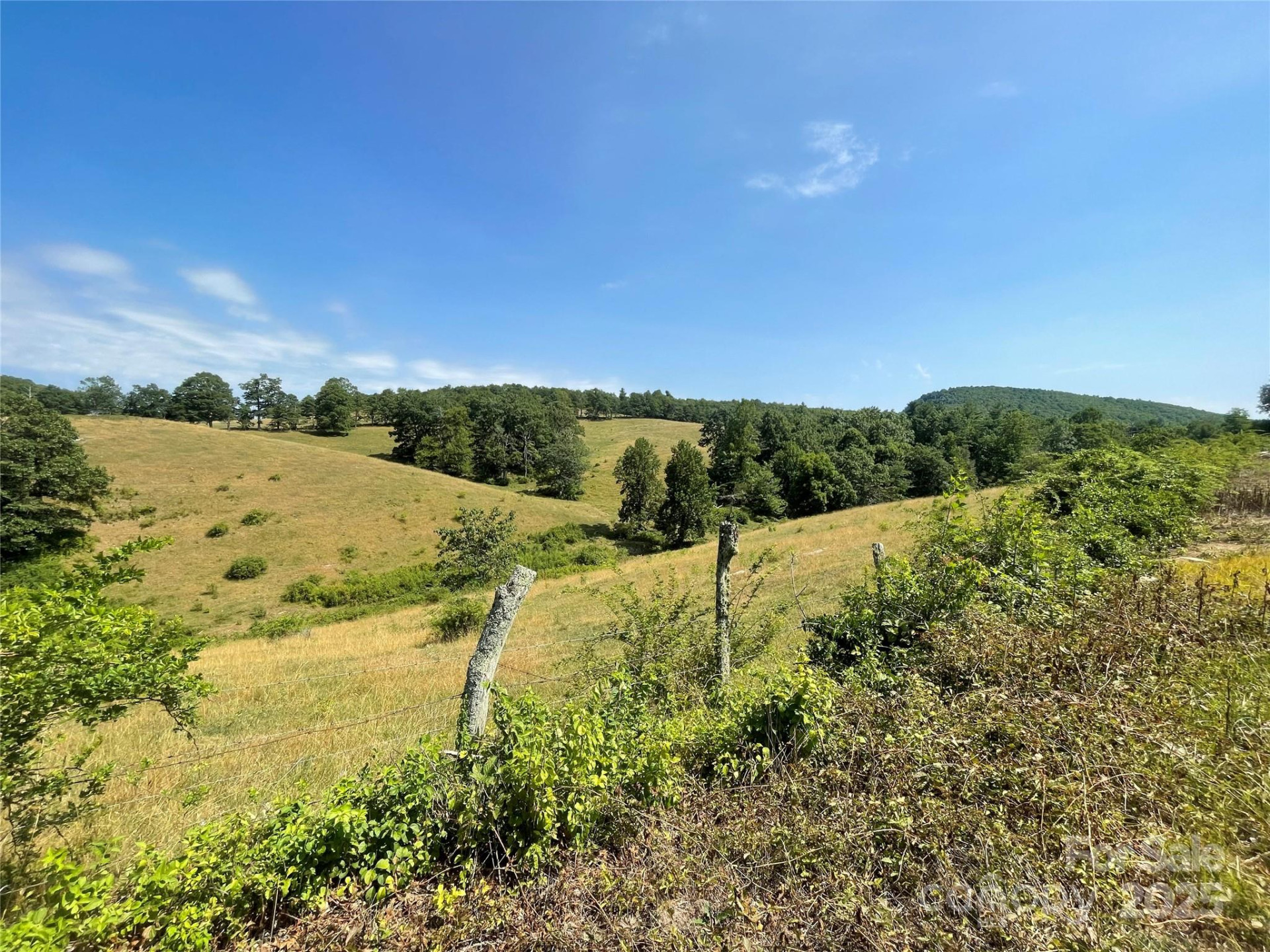 TBD Summer Road - Photo 5