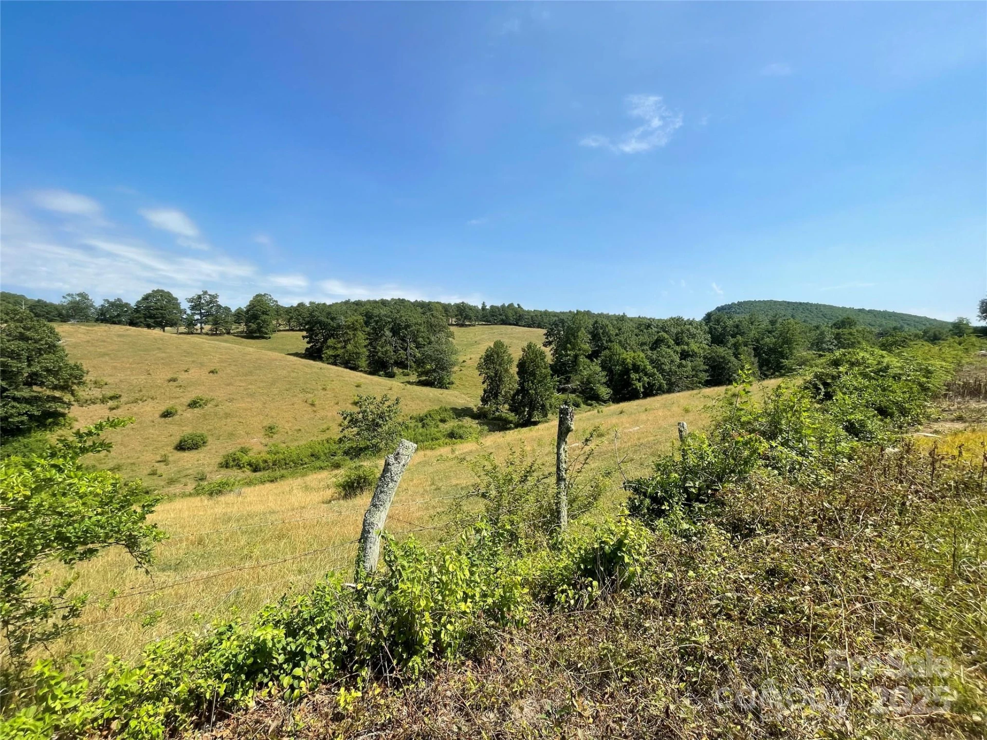 TBD Summer Road - Photo 5