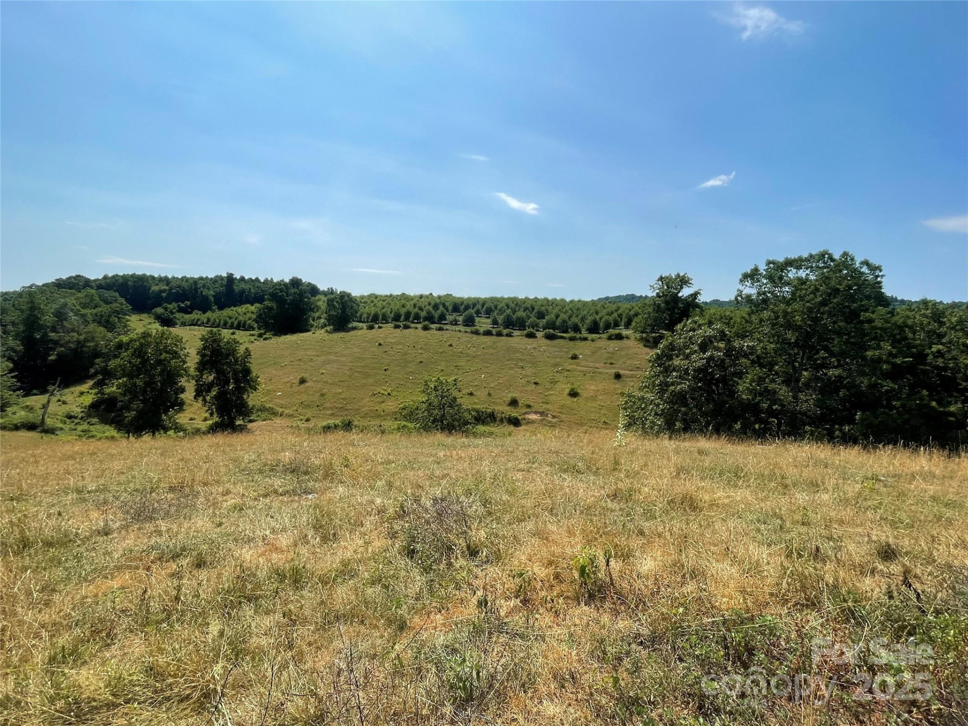 TBD Summer Road - Photo 6