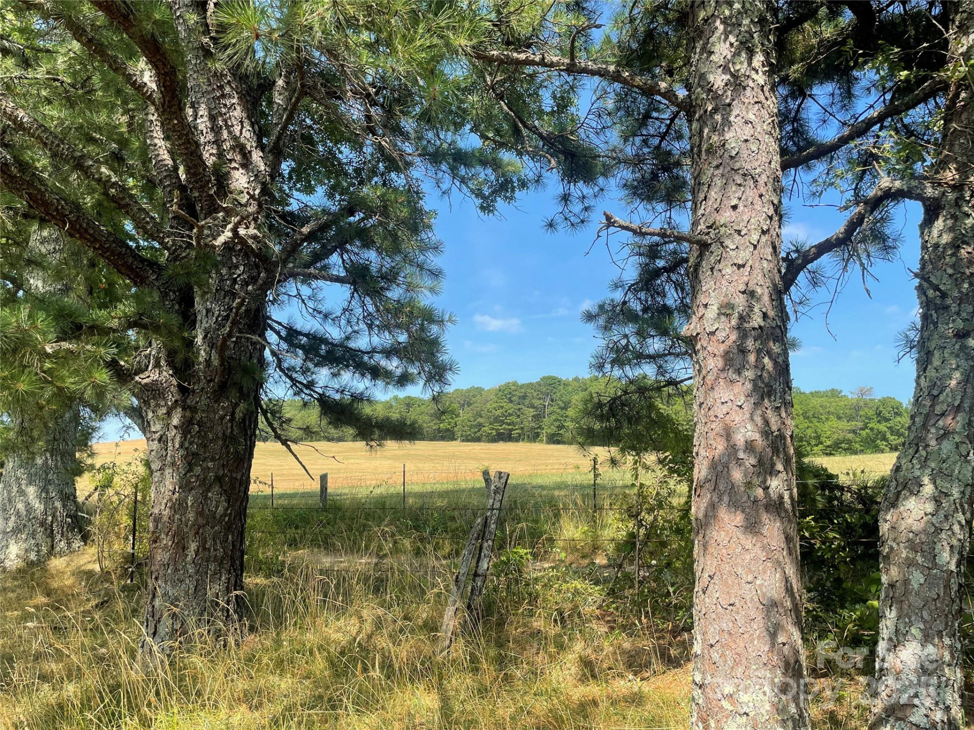 TBD Summer Road - Photo 10