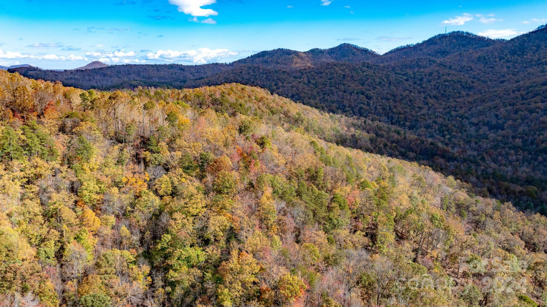 TBD Wilkerson Way - Photo 12