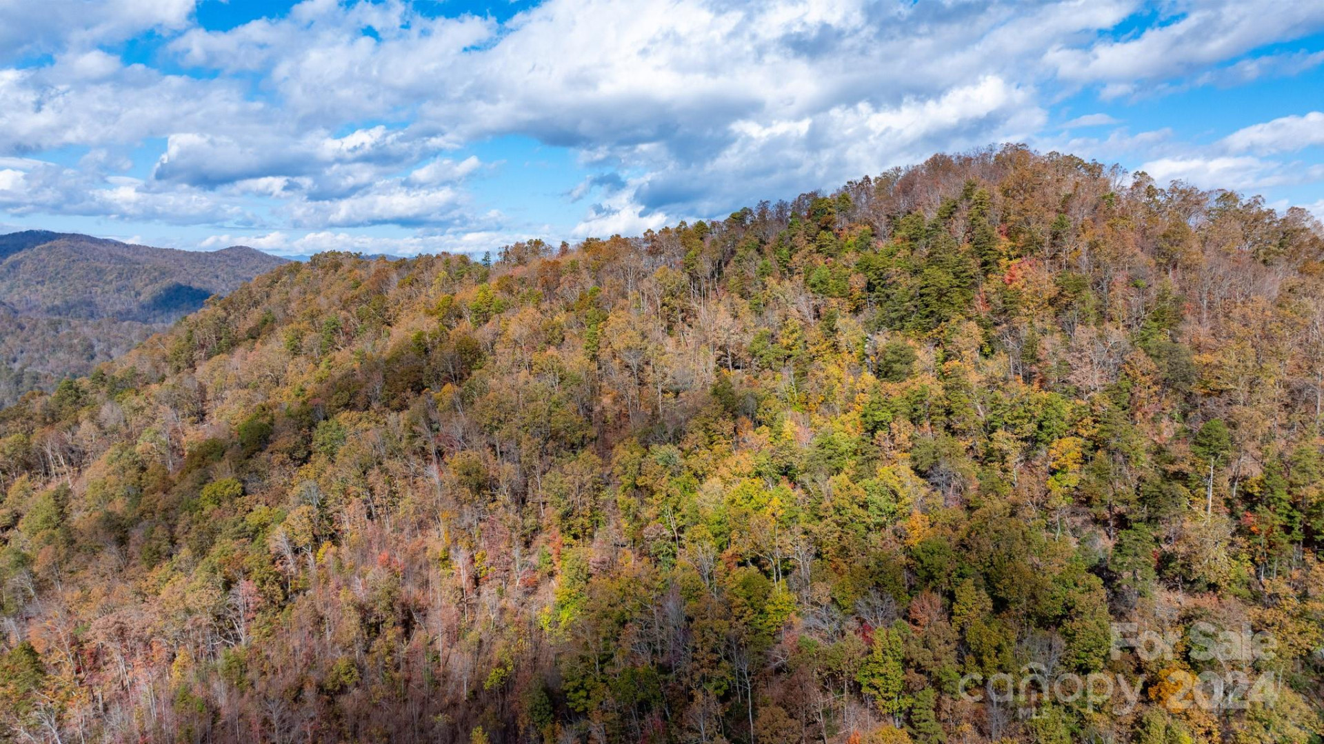 TBD Wilkerson Way - Photo 14