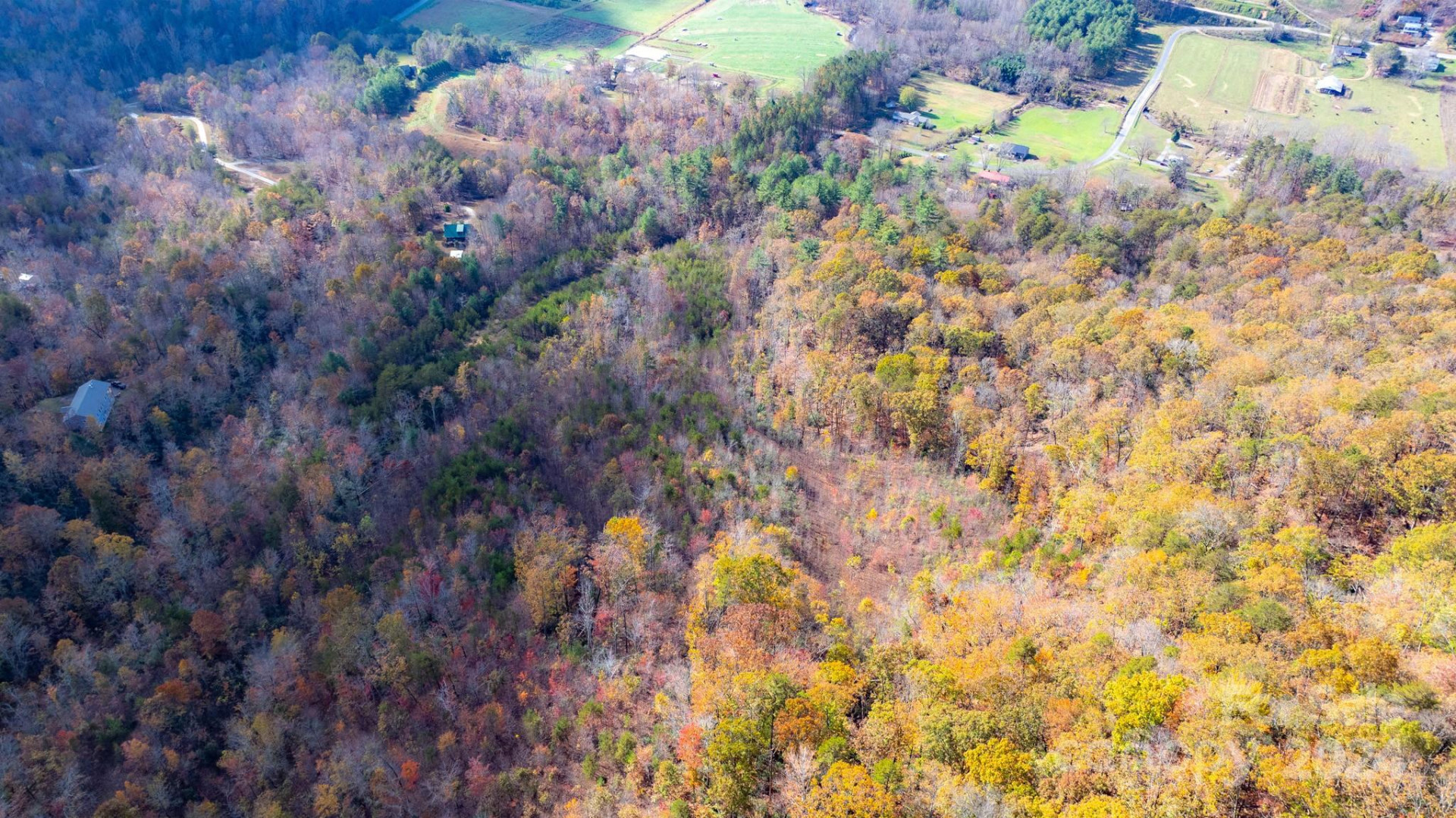 TBD Wilkerson Way - Photo 16