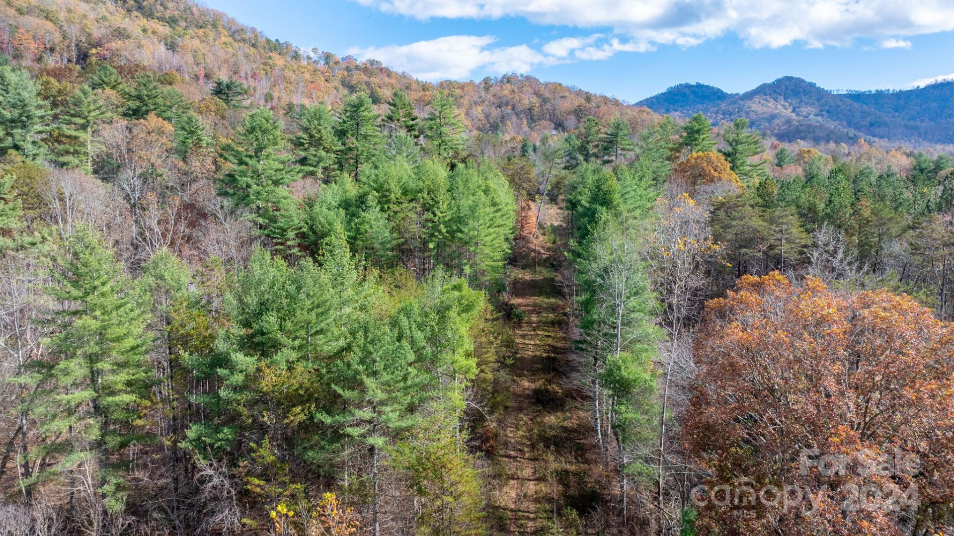 TBD Wilkerson Way - Photo 3