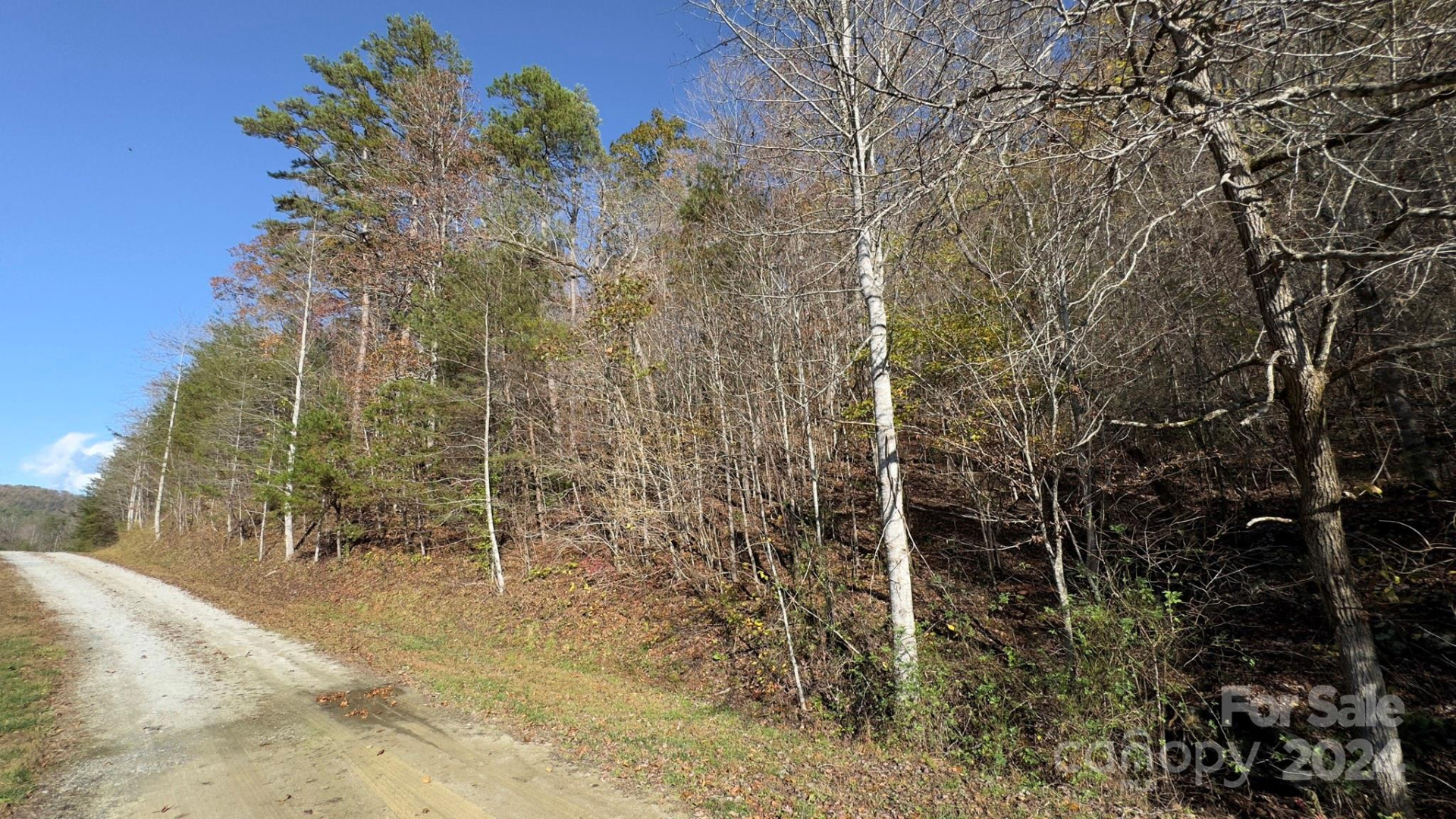 TBD Wilkerson Way - Photo 30