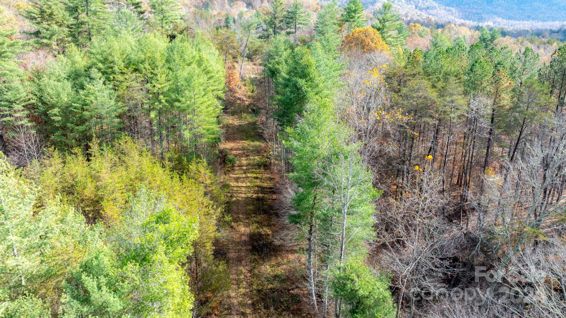 TBD Wilkerson Way - Photo 4