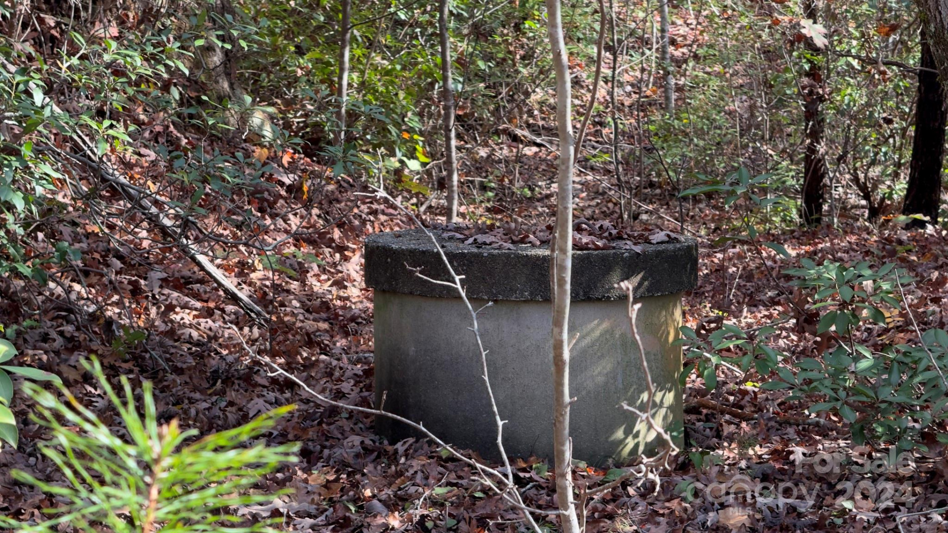 TBD Wilkerson Way - Photo 32