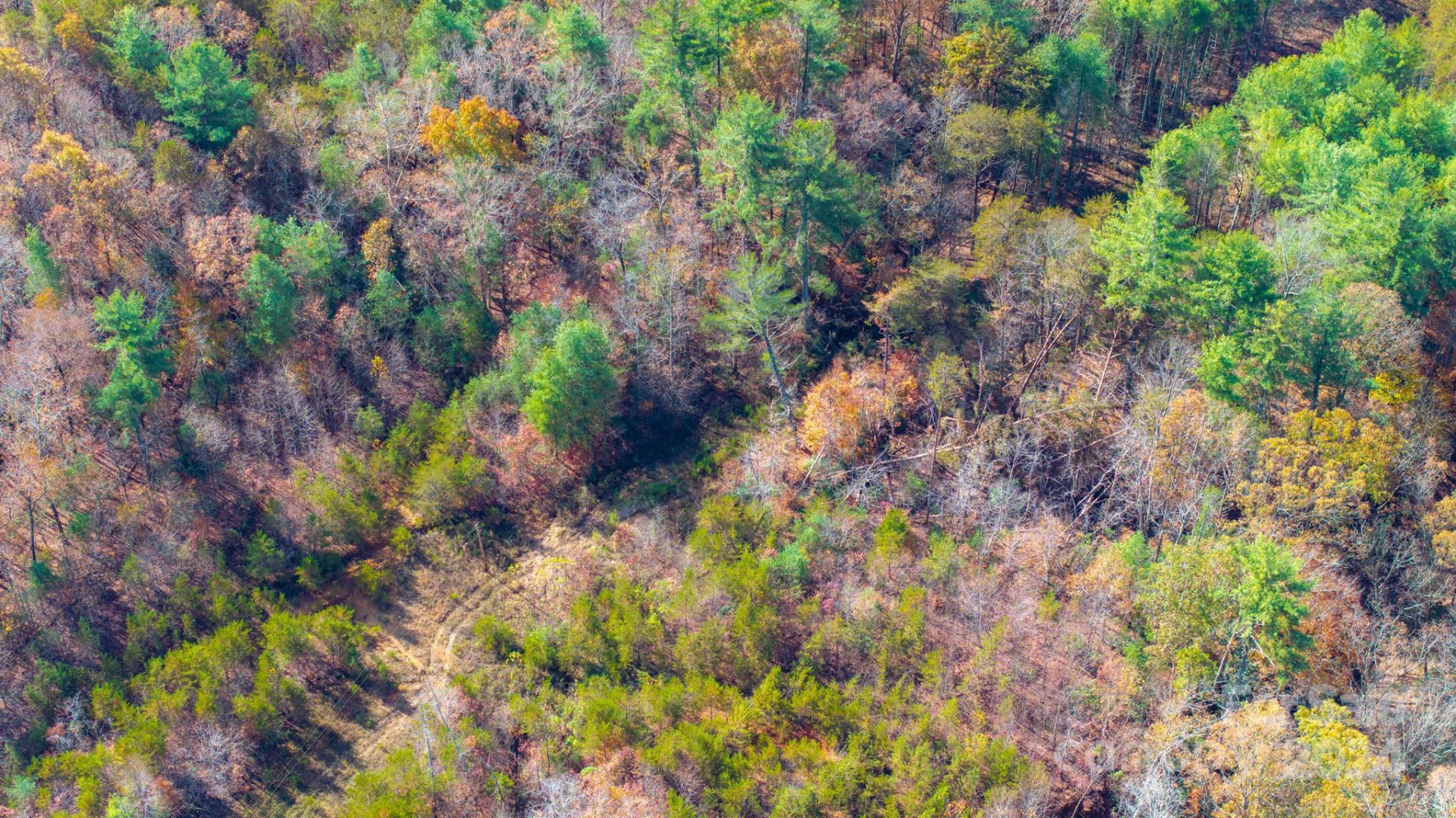 TBD Wilkerson Way - Photo 8