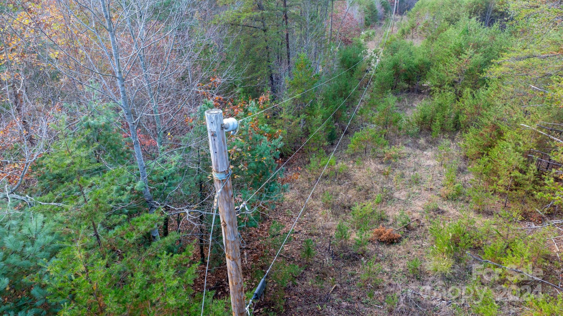 TBD Wilkerson Way - Photo 9