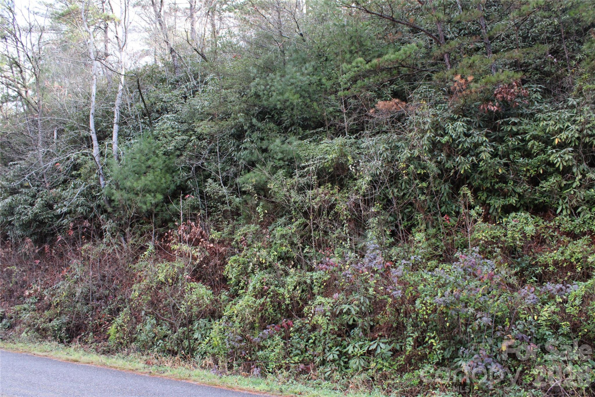 TBD Stamey Creek Road
