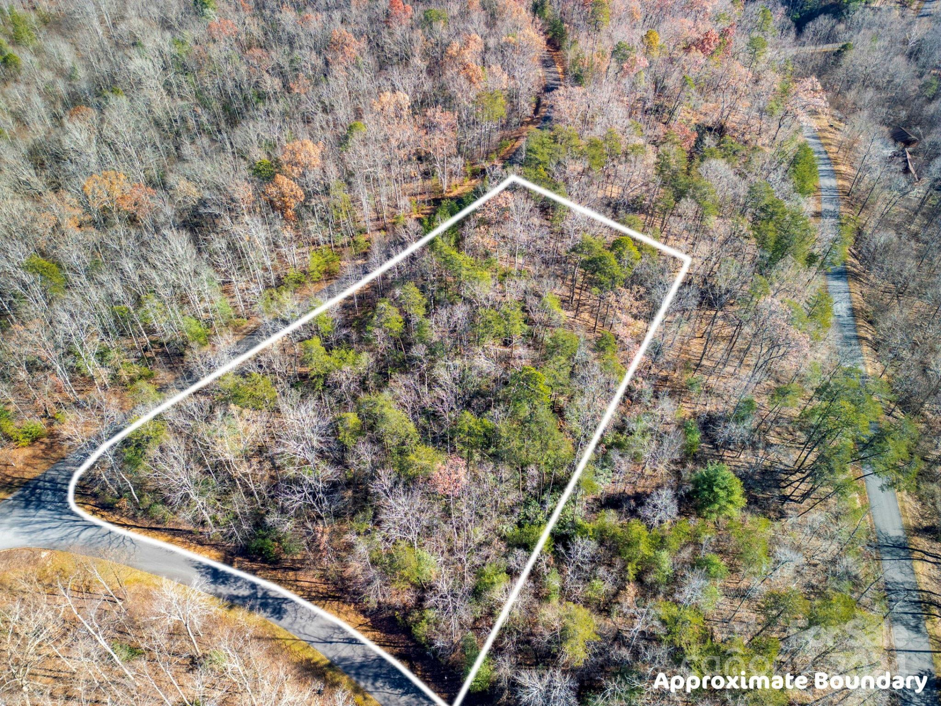 0 Forest Country Drive #60 - Photo 14