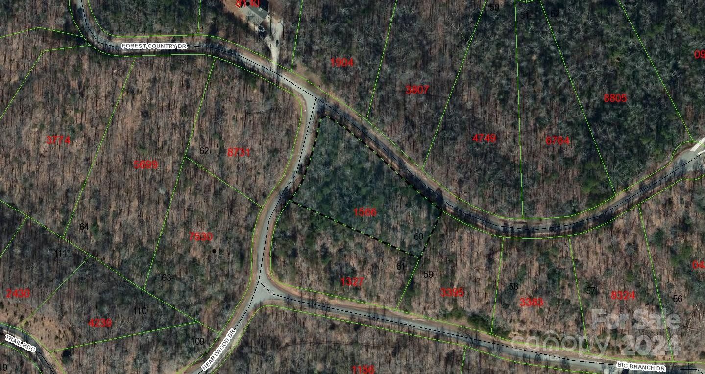 0 Forest Country Drive #60 - Photo 18