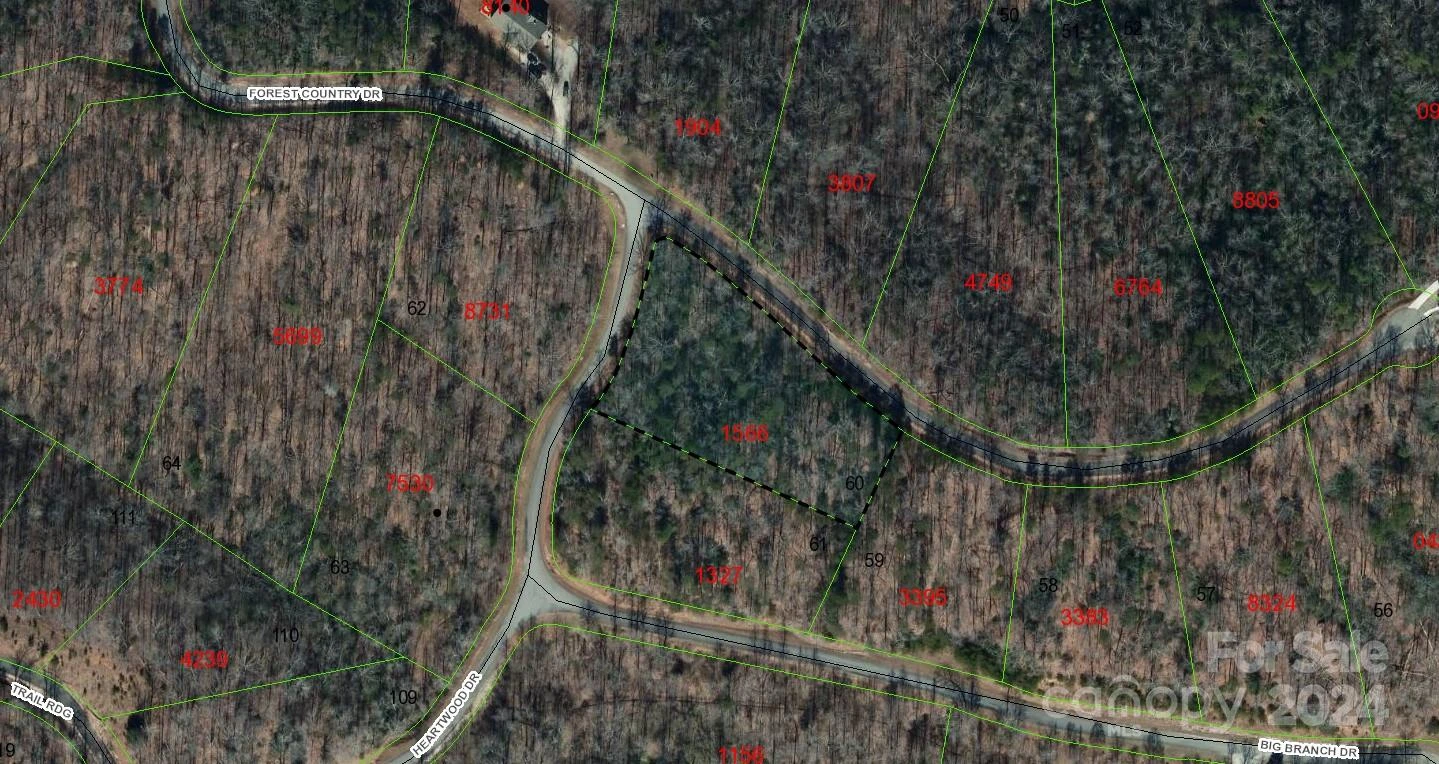 0 Forest Country Drive #60 - Photo 18