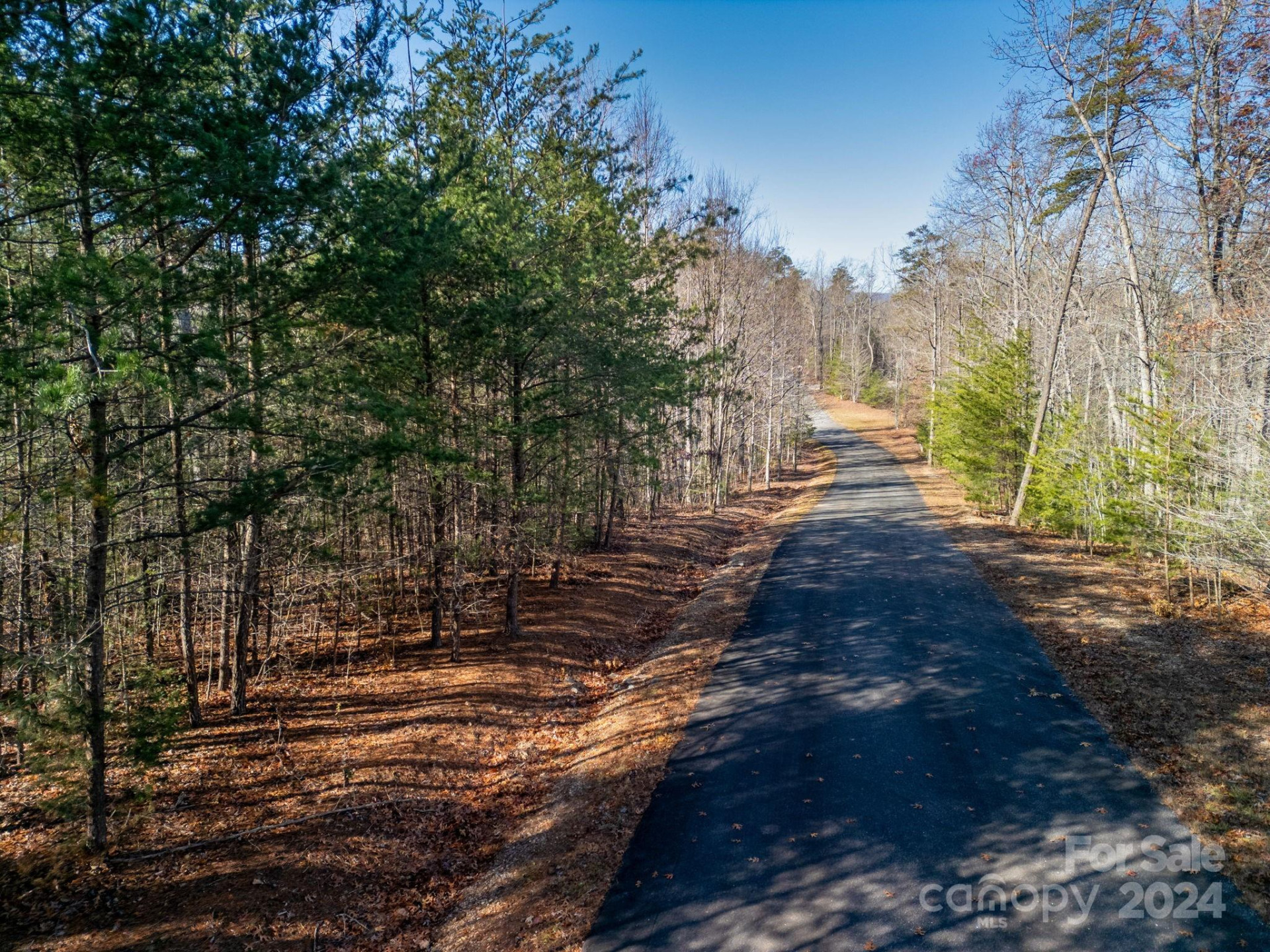 0 Forest Country Drive #60 - Photo 4
