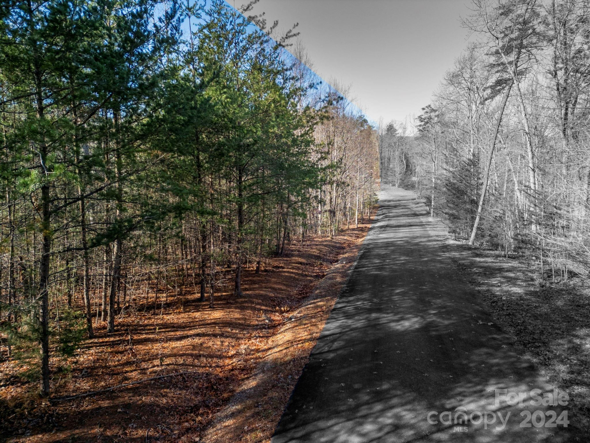 0 Forest Country Drive #60 - Photo 5