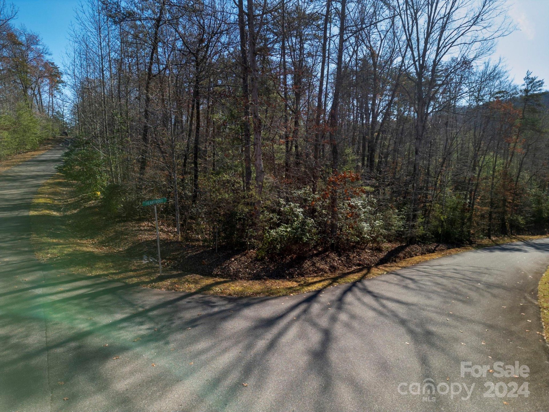 0 Forest Country Drive #60 - Photo 6