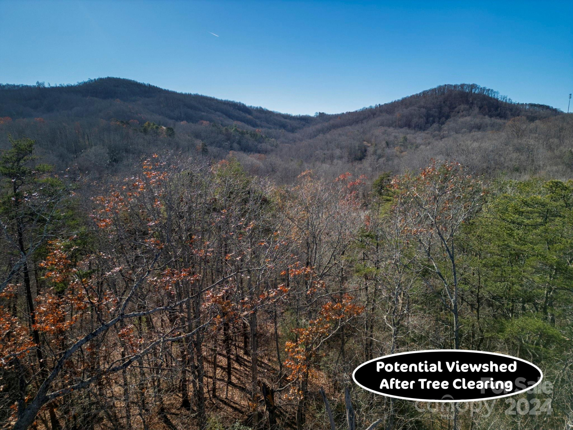 0 Forest Country Drive #60 - Photo 7