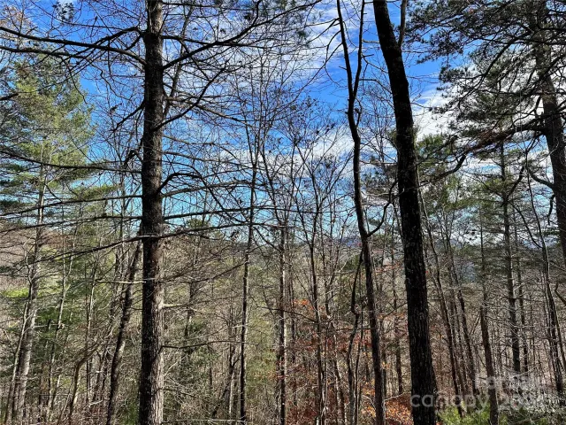 625 White Water Way, Marshall, NC, 28753