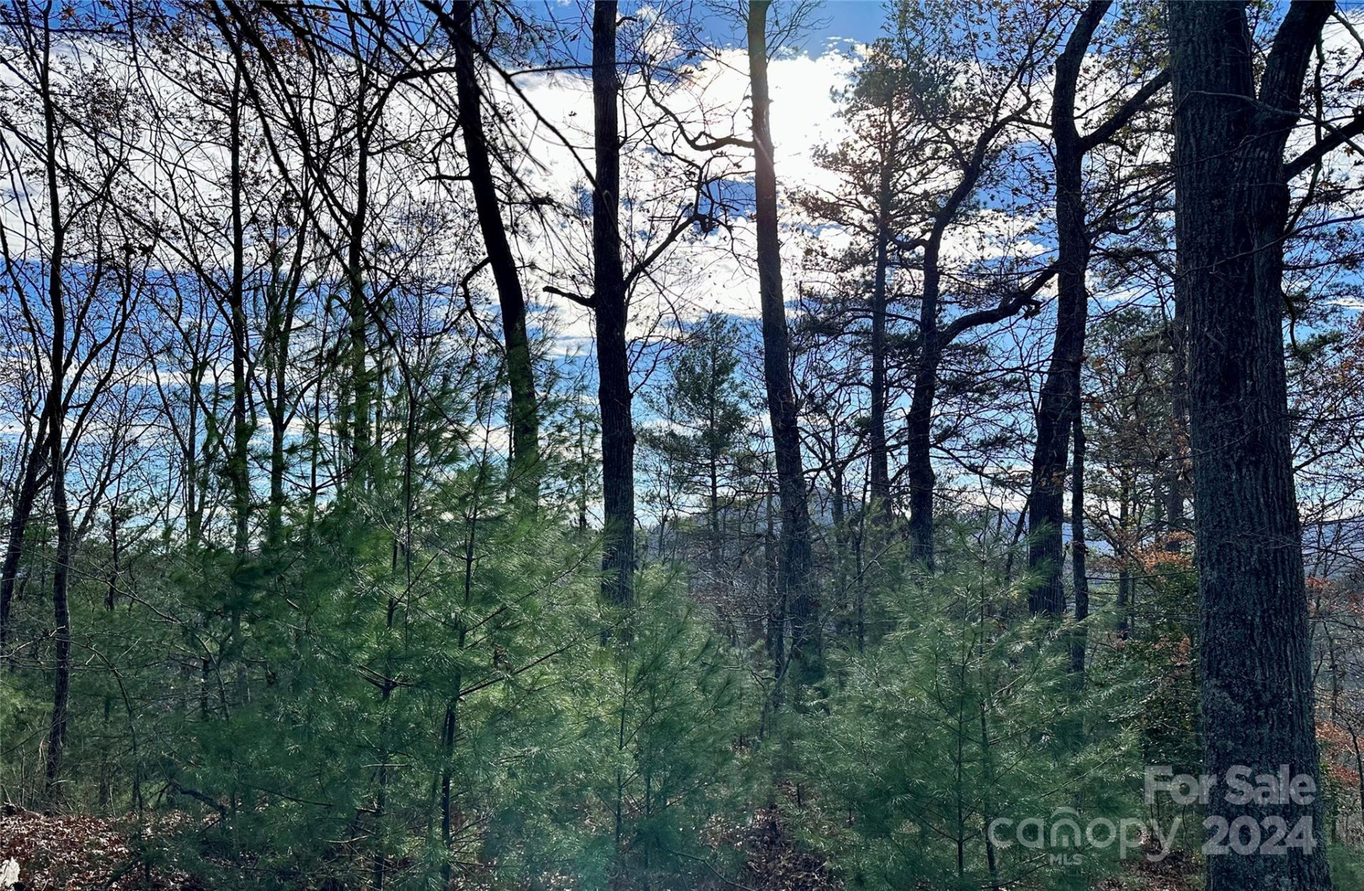 625 White Water Way #25 - Photo 2