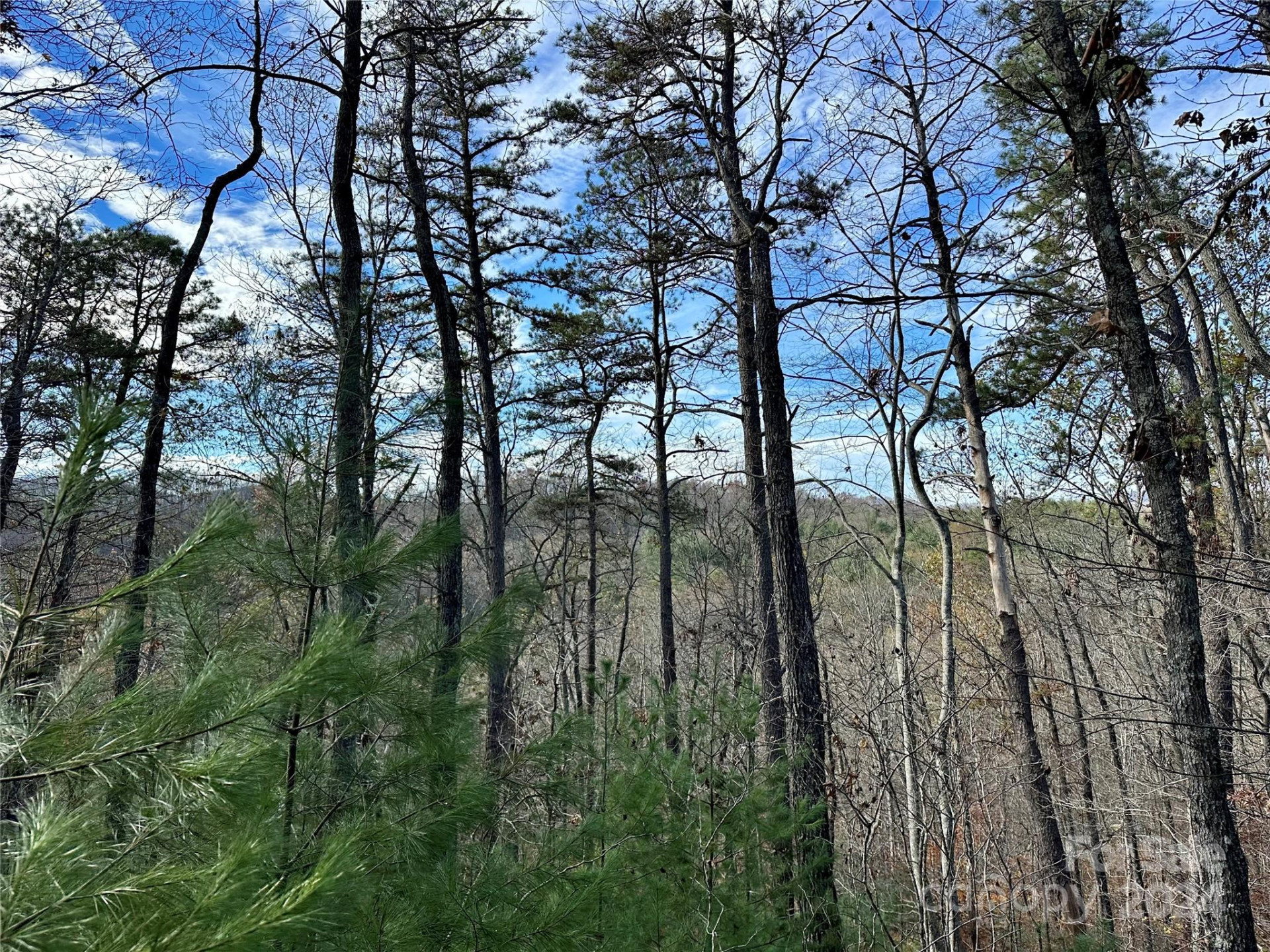 625 White Water Way #25 - Photo 3