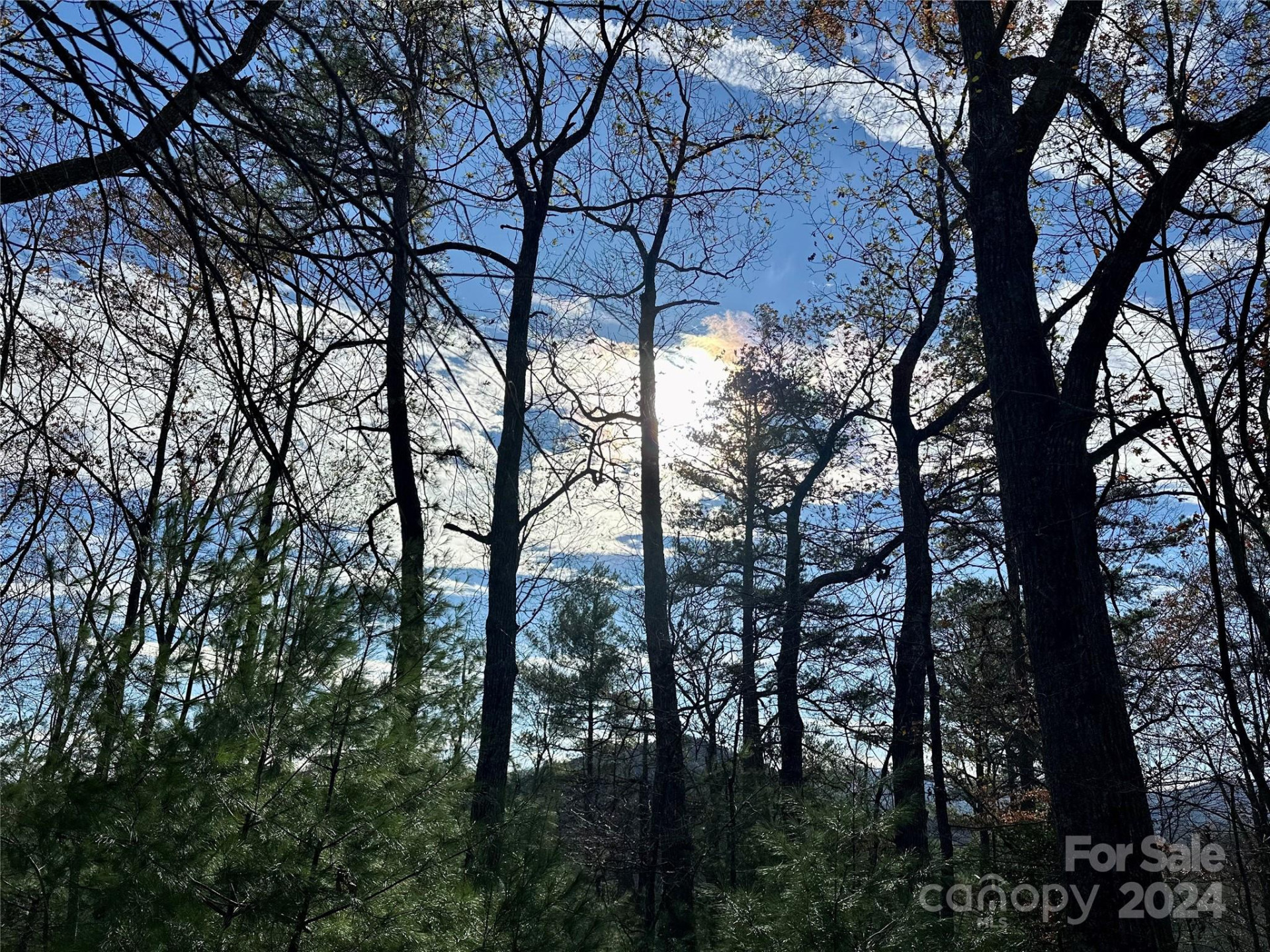 625 White Water Way #25 - Photo 4