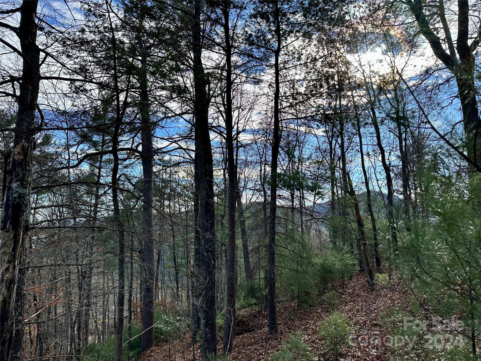 625 White Water Way #25 - Photo 5