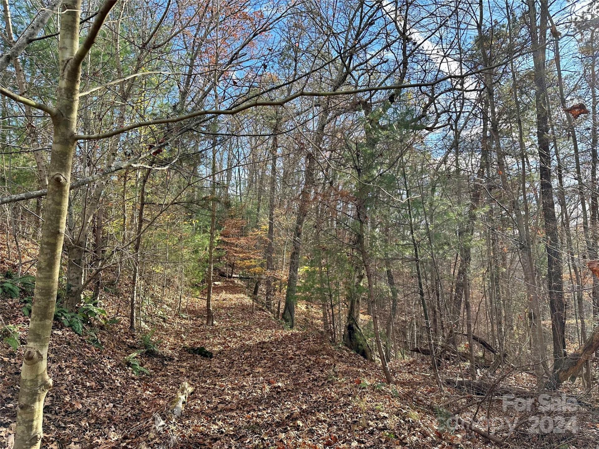 625 White Water Way #25 - Photo 7