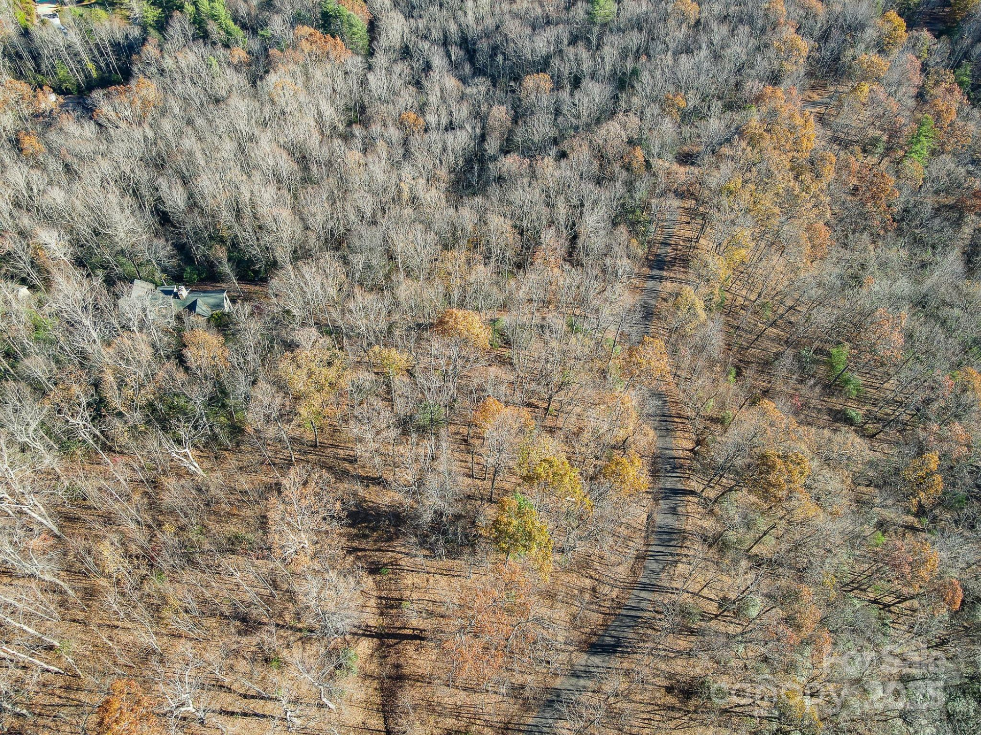 99999 Black Bear Ridge Trail