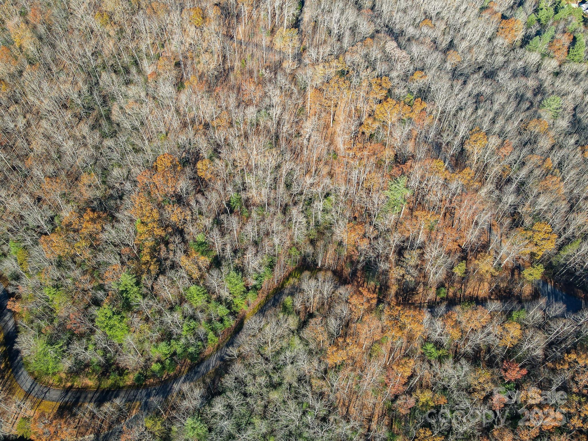 99999 Black Bear Ridge Trail - Photo 14