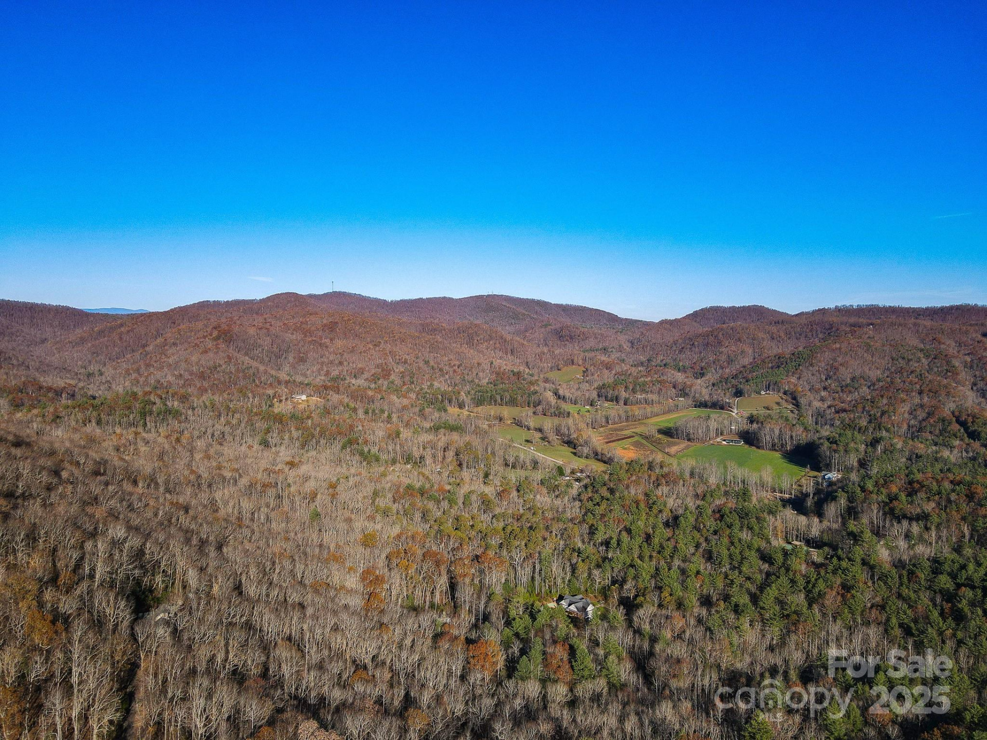 99999 Black Bear Ridge Trail - Photo 15