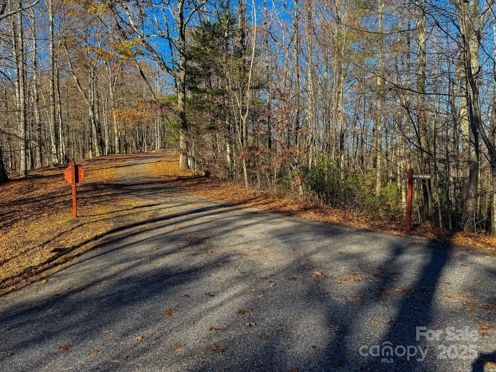 99999 Black Bear Ridge Trail - Photo 16