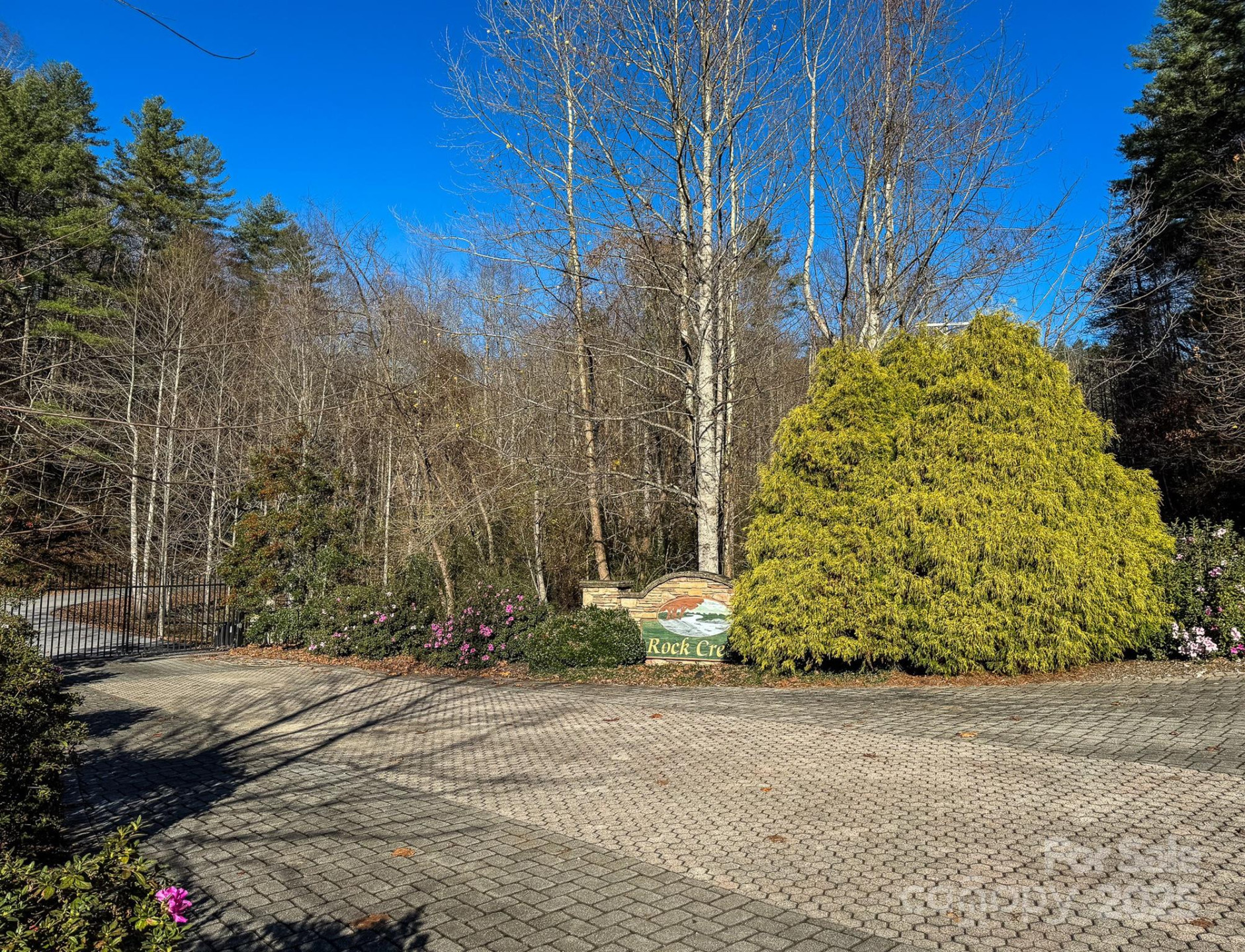 99999 Black Bear Ridge Trail - Photo 18