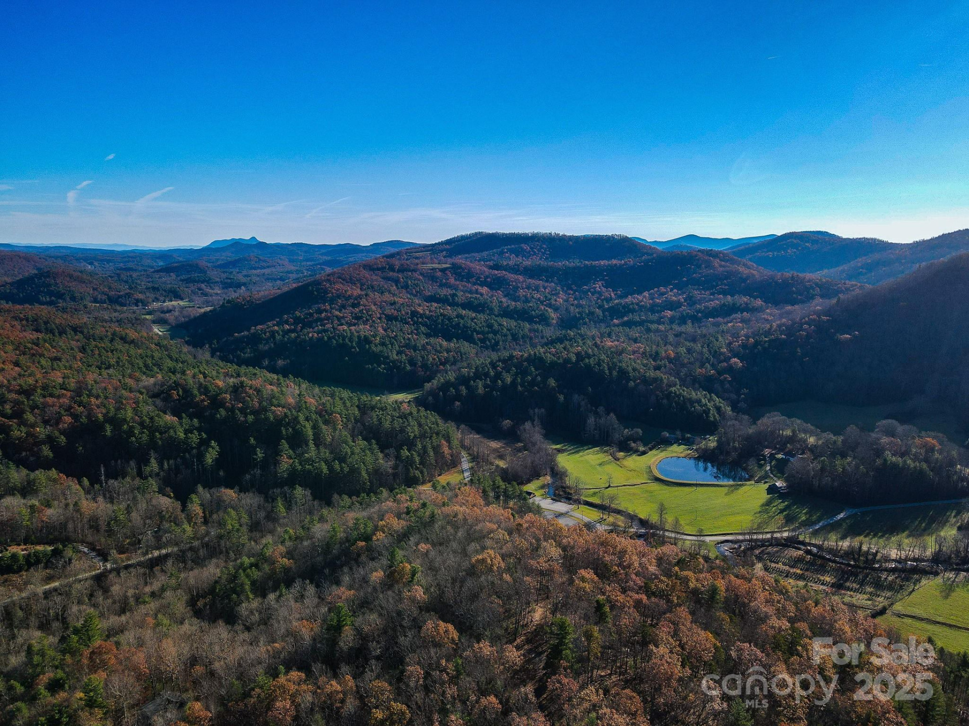 99999 Black Bear Ridge Trail - Photo 5