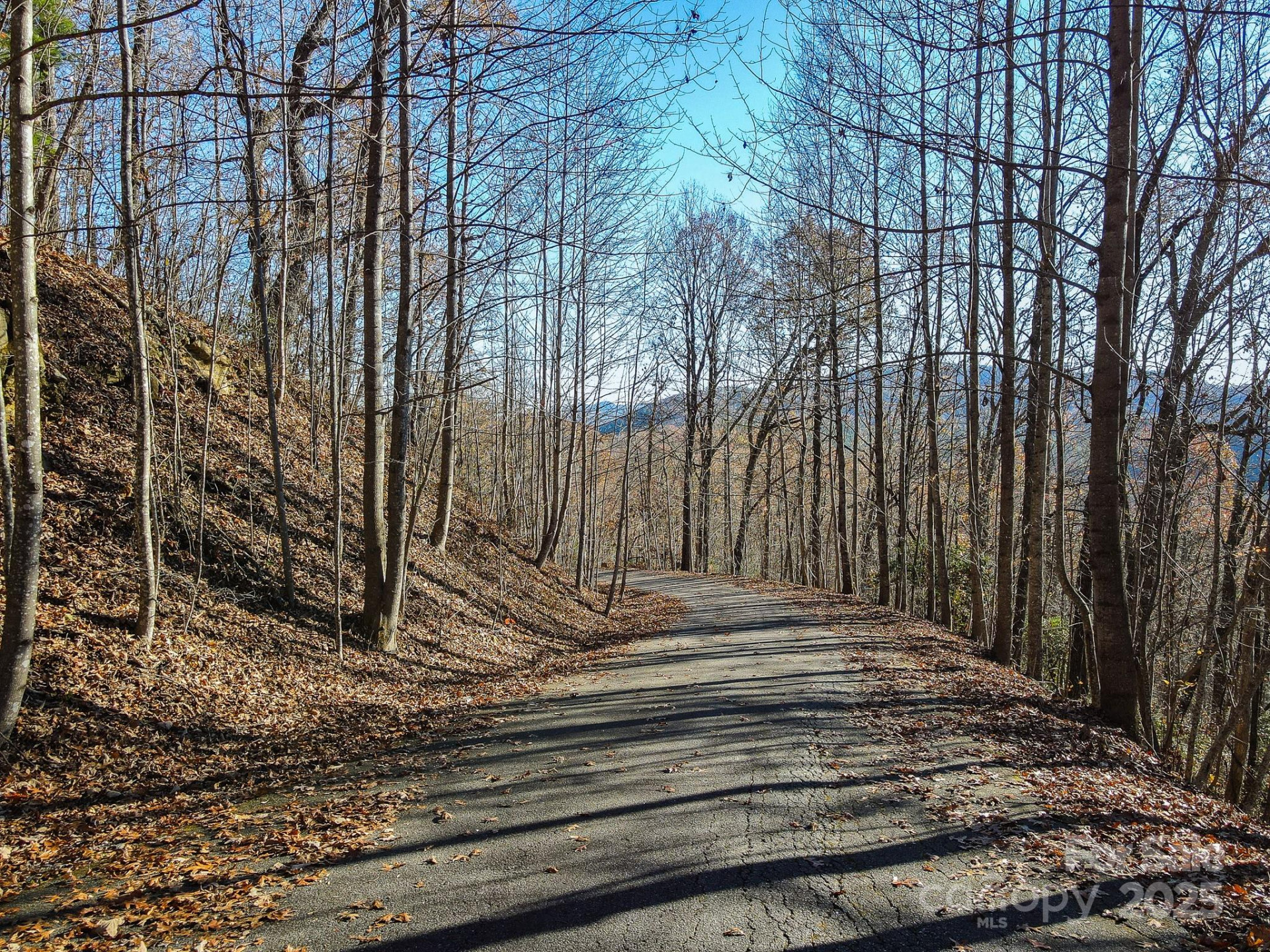 99999 Black Bear Ridge Trail - Photo 6