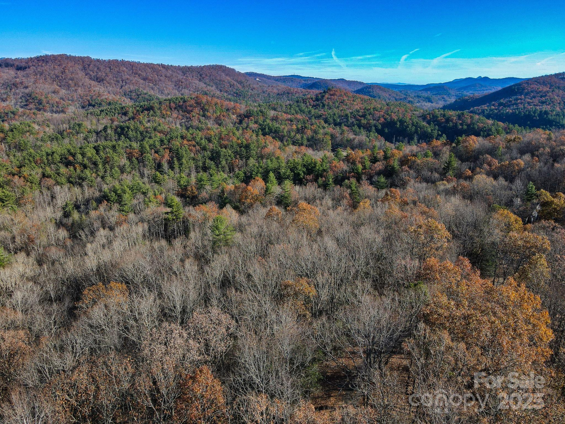 99999 Black Bear Ridge Trail - Photo 7