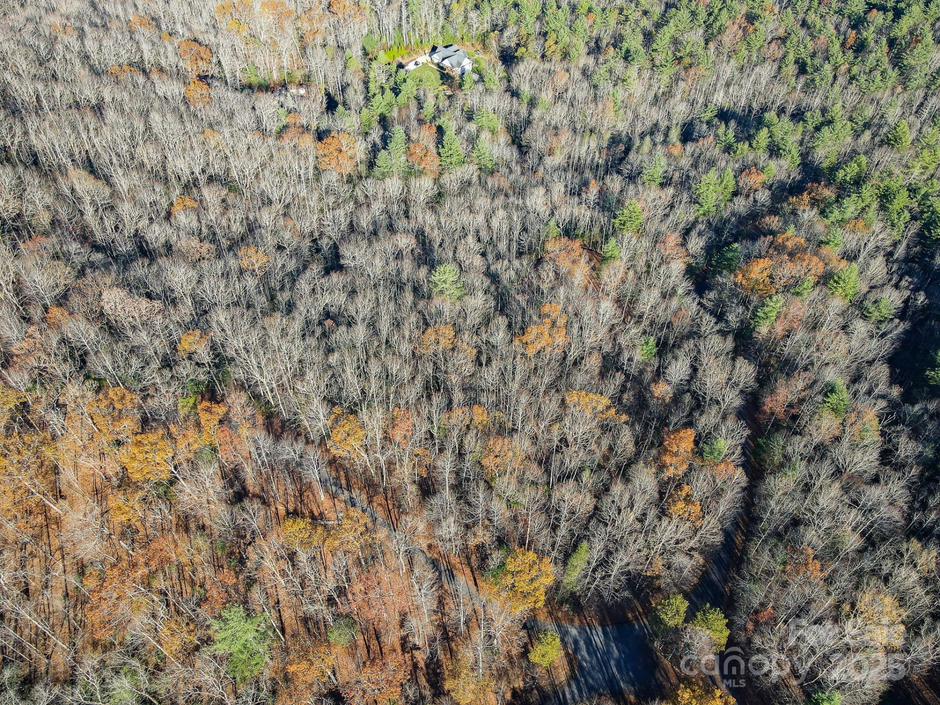 99999 Black Bear Ridge Trail - Photo 8