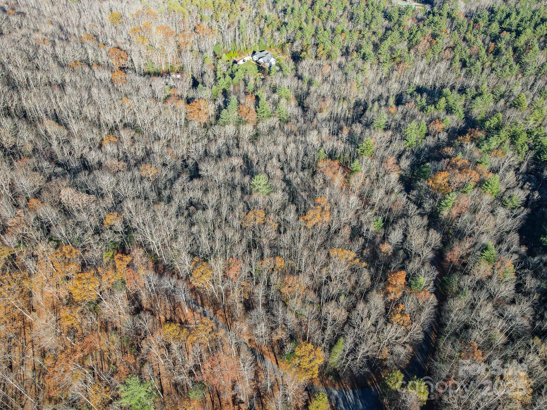 99999 Black Bear Ridge Trail - Photo 9