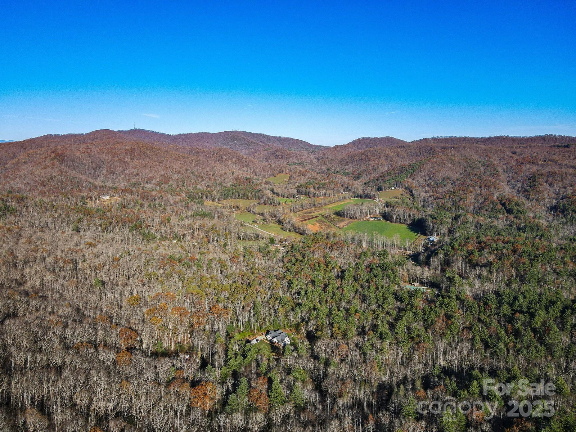 99999 Black Bear Ridge Trail - Photo 10