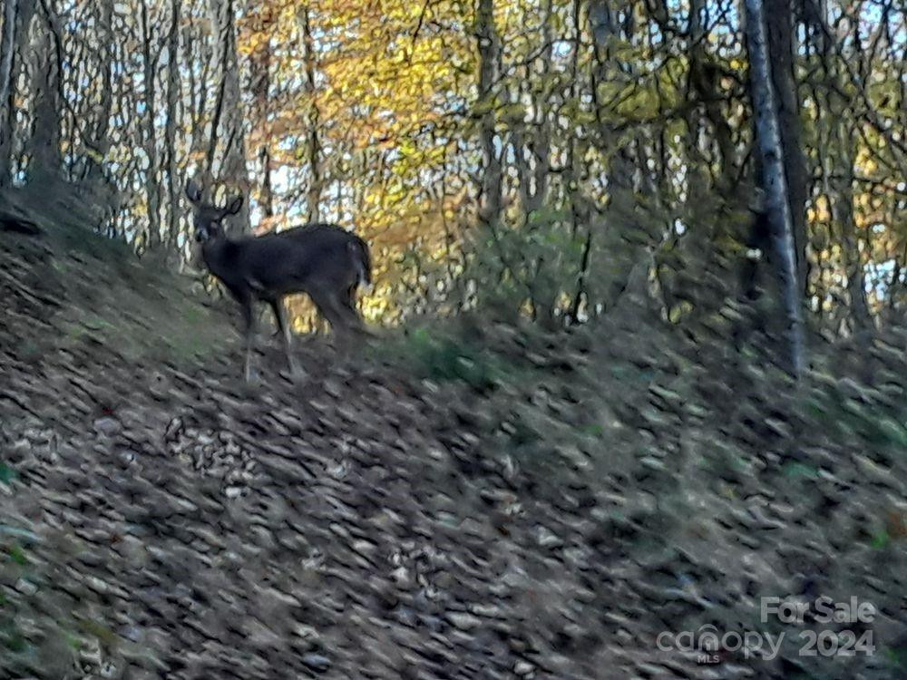 2200 Walnut Creek Road - Photo 14