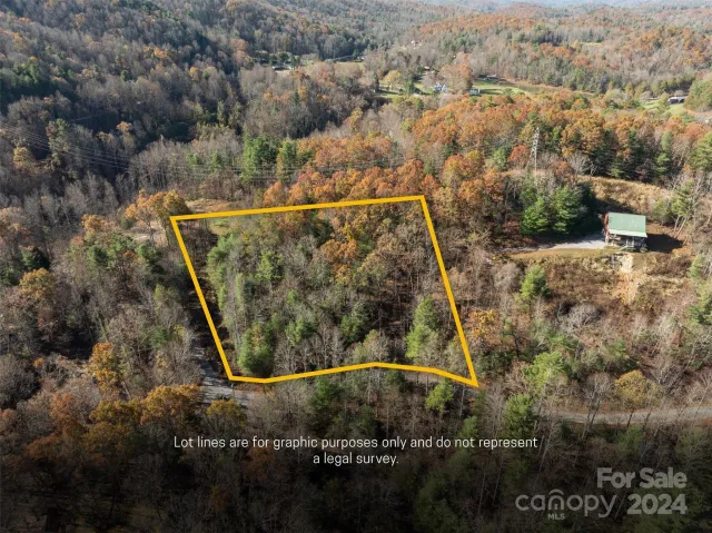 99999 Big Raven Lane, Saluda, NC, 28773