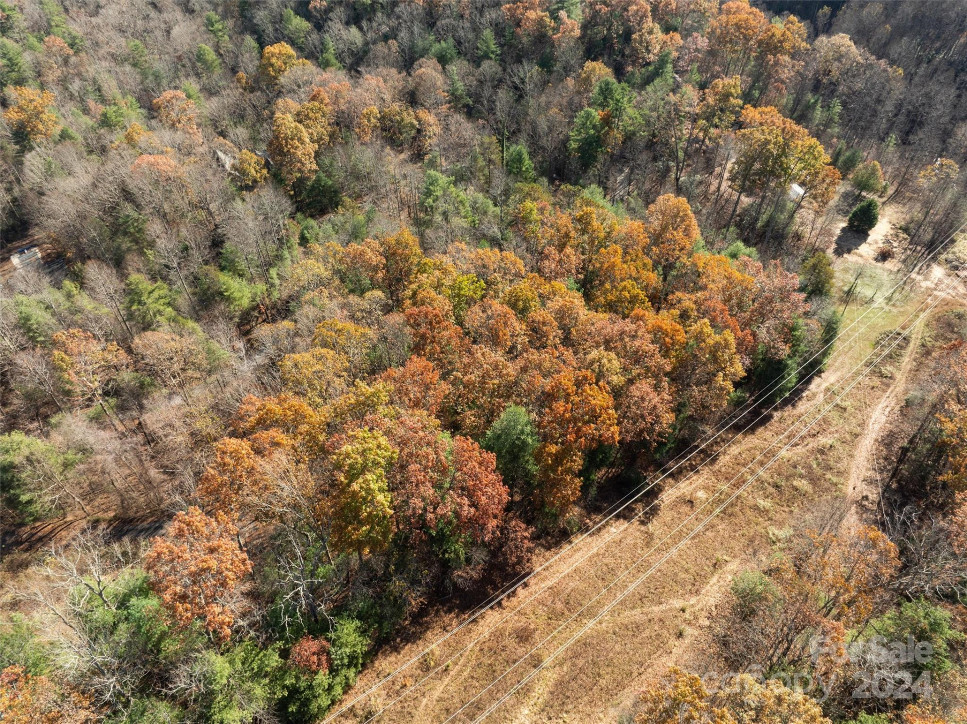 99999 Big Raven Lane - Photo 11